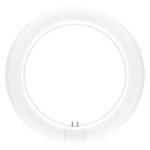 Ledvance LED Röhre T9 Value rund (EM/Mains) 11W 1320lm - 865 Tageslichtweiß | Ersatz für 22W