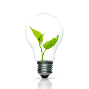 Lampe mit Blatt